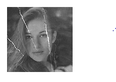 Slater Bradley: A Point Beyond the Tree - Sean Kelly, New York