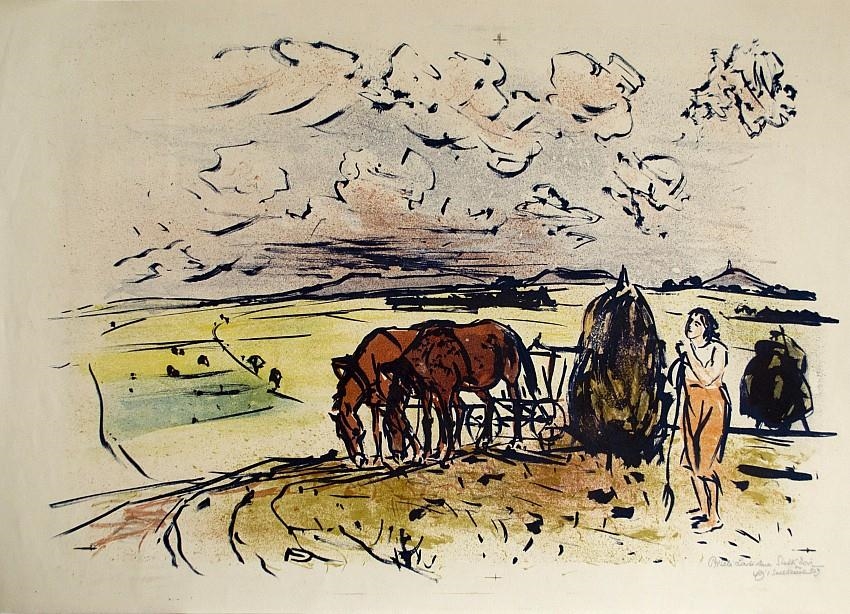 Artwork by Vojtěch Sedláček, Hays, Made of litography