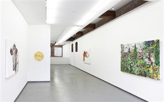 Sheila Gallagher: Ravishing Far/Near - DODGE gallery