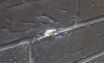 Social Media - Pace/MacGill Gallery