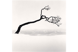 Black and white photographs by Michael Kenna on view at Peter Fetterman Gallery