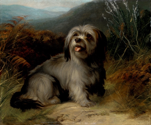Artwork by George Earl, A Terrier in a Landscape, Made of oil on canvas