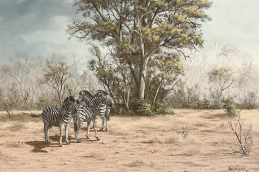 Zebras in the bush by Robert Macintosh