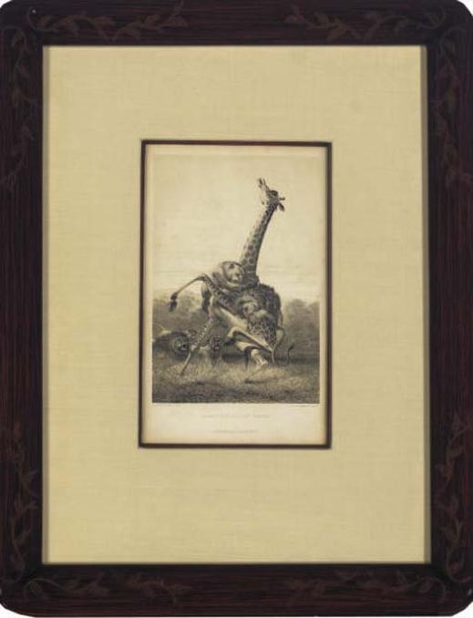 Artwork by J. Wolf, M. & N. Hanhart, [Wild African Animals]: Ten Plates, Made of Lithographs on wove paper