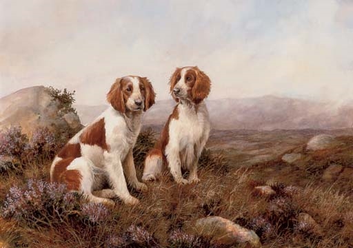 Spaniels on the moors by Neil Cox