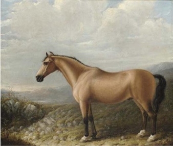 A palomino horse in a mountainous landscape - Bennett Hubbard