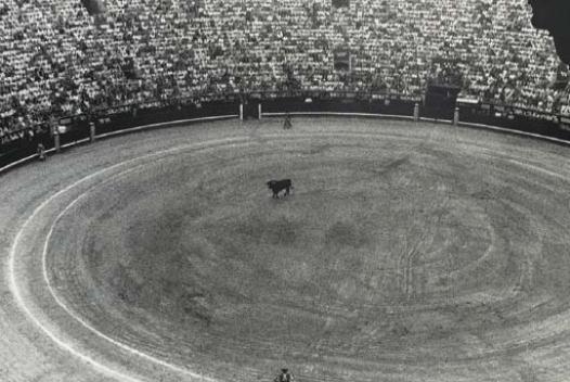 Bullfight I by Zoe Leonard, 1986-1990