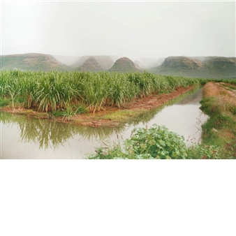 Kekaha Cane Fields, Kauai - Elaine Mayes