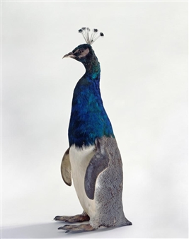 Curiosity: Art and the Pleasures of Knowing - Newlyn Art Gallery