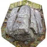 Little White Cubes: Part I - The Delaware Contemporary 