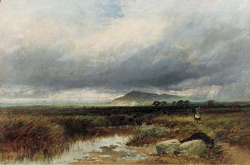 On the Arthog Moor, Wales by Paul H. Ellis