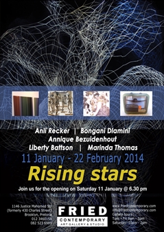 Rising stars - Fried Contemporary