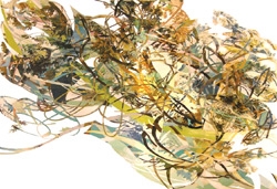 Transitions - Mark Wolfe Contemporary Art
