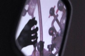 Samantha Donnelly: Rubbernecker - Ceri Hand Gallery