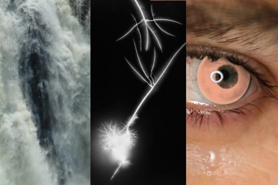 L'État du Ciel - Palais de Tokyo