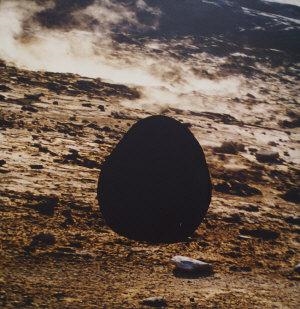 Scan/Scape 6 - Helen Sear