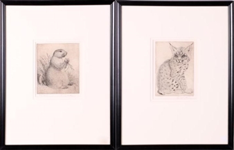 2 Works: Nature Portraits - S. Omon