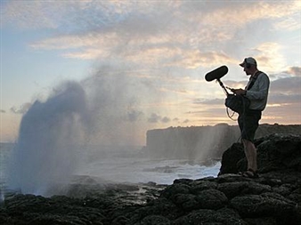 Ravens and research: Semiconductor and Chris Watson on Jerwood Open Forest