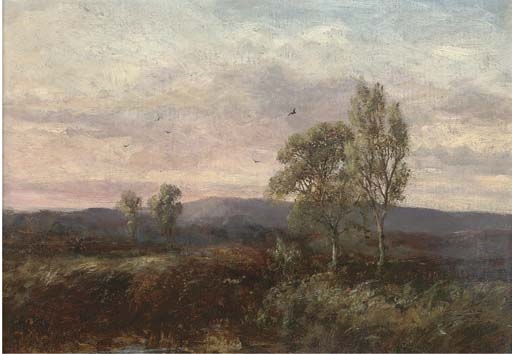 An extensive moorland landscape with trees