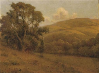 Evening Sunshine, California by William Barr