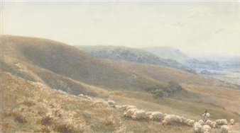 Sheep grazing on the downs - Ruth Dollman