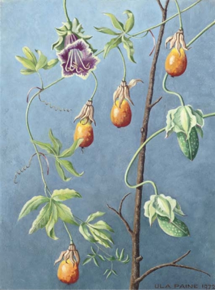 Fruit and blossom by Ula Paine, 1972