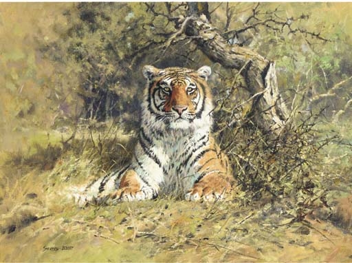 John Seerey-Lester | A tiger | MutualArt