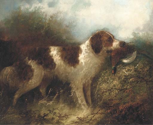 A spaniel with a pheasant by Edward Armfield