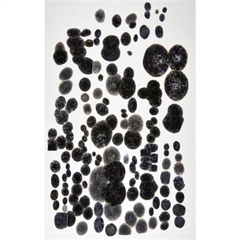 Cattails - Polly Apfelbaum