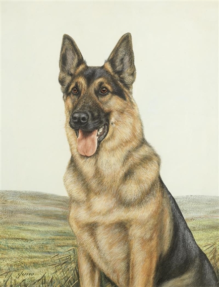 german shepherd pen