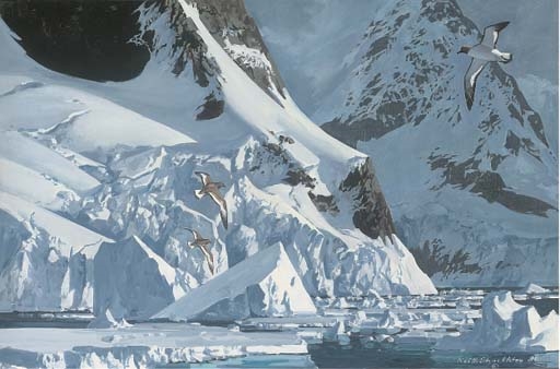 Keith Shackleton | Storm petrels in flight (1988) | MutualArt