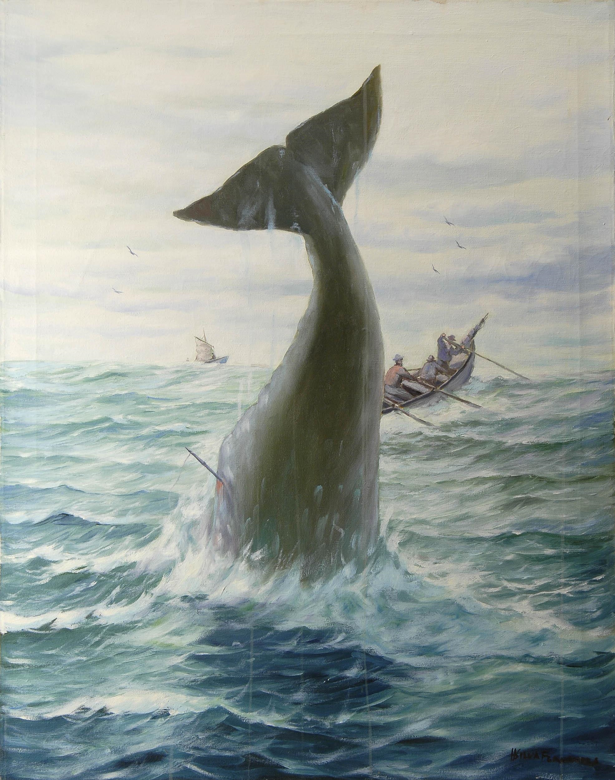 A whale dives after being harpooned by H. Silva Fernandes