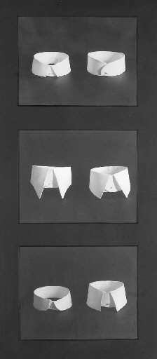 Worn About the Neck Either for Cleanliness, Comfort, Protection or Ornament, 1911 by David McDermott, Peter Thomas McGough, 1991