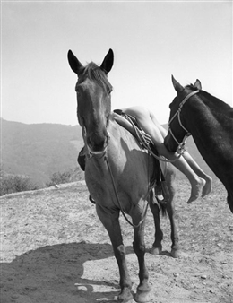 “Devotion: Excavating Bob Mizer” at 80WSE Gallery, New York