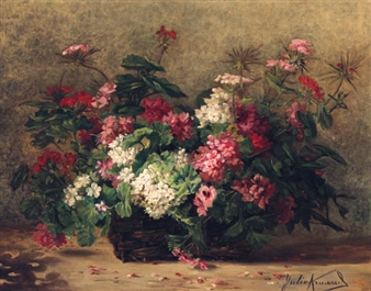 Geraniums and Pelargoniums in a Basket - Julia Arnaud