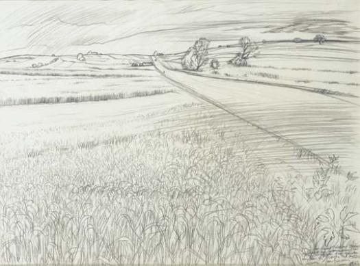 Paysage de campagne