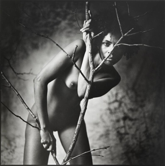 Untitled - Isabel Lima