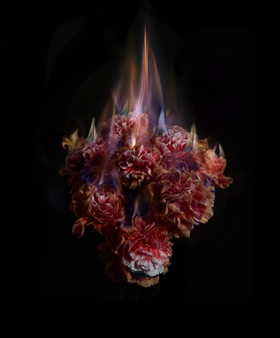 Mat Collishaw - Patricia Low Contemporary, Gstaad