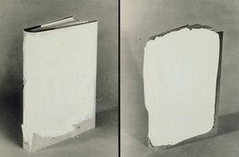 CODEX - The Wattis Institute