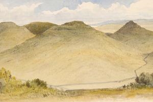 T.J. McNamara: The way we were