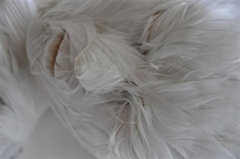 Lucy Glendinning’s Strange And Beautiful Feathered Figures