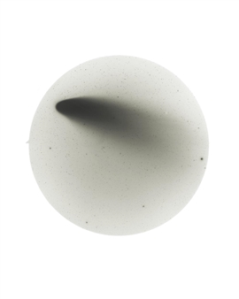 Sophy Rickett: Objects in the Field - Grimaldi Gavin
