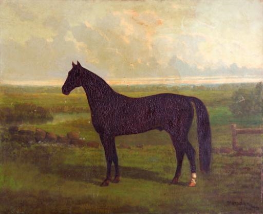 Artwork by Theodore Marsden, Untitled Horse Portrait, Made of Oil on canvas
