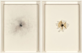 2 parts ;Untitled (Daly Over/Under @ Close Range w/ .12 "Punkin" Ball Slug) (Entrance and Exit) - Robert Beck