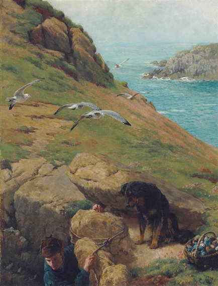Gathering eggs on the cliffs of Lundy - Bryan Hook