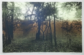 Golden Dawn - L. Sacco