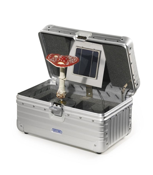 KLEINER PILZKOFFER by Carsten Höller, 2001