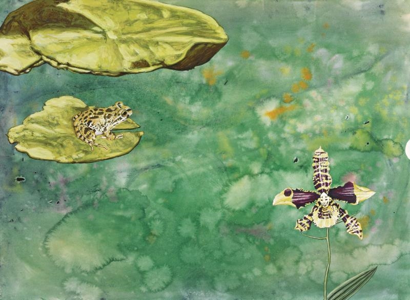 Sold at Auction: Japanese Watercolor Painting, Frogs