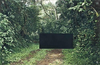 8 parts; Untitled - Jonathan Wateridge