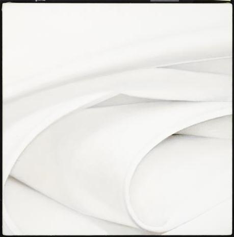 Oblique by Alison Watt, 2004